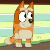 Bluey 26