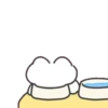 fluffy meow meow 5 19
