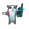 Gatos😺💞7🇵🇪Movi 26