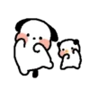 Cute white puppy 2🐶🤍 MOV 12
