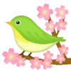 Sakura flowers 🌸 MOV 27