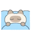 Gatito Siames 🐱 28