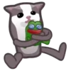 Gatos😺💞7🇵🇪Movi 29