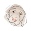 Dog Emotions 5
