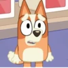 Bluey 29
