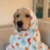 Frio 22