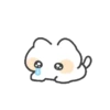 fluffy meow meow 6 23