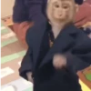 Monos 3🐒 changos🙈 22