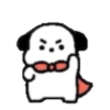 Cute white puppy 2🐶🤍 MOV 17
