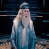 Harry Potter 🧙‍♂️ Mov 28