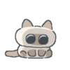 Gatito Siames 🐱 29