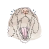 Dog Emotions 6