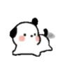 Cute white puppy 2🐶🤍 MOV 20