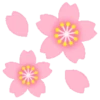 Sakura flowers 🌸 MOV 30