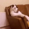 Lazy Couch
