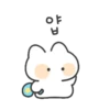 얍