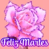 Flores (づ｡◕‿‿◕｡)づ 🌺🌺🌺 5