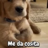 Me da cosita