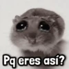 🌼 Mix Frases! 🌼 #3 6