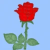 Flores (づ｡◕‿‿◕｡)づ 🌺🌺🌺 7