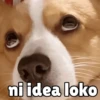 ni idea loko