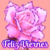 Flores (づ｡◕‿‿◕｡)づ 🌺🌺🌺 8