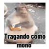 Frases estilo mono 🙈🙉 5