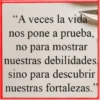 Frases💞27🇵🇪Movi 5