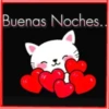 Frases💞27🇵🇪Movi 6