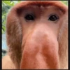 🙈•MONOS•🐒 7