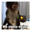 Monos traviesos 🙈💯 10