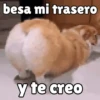 besa mi trasero y te creo