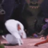 ❤️SNOWBALL ANIMADO❤️🐇 20