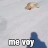 me voy