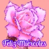 Flores (づ｡◕‿‿◕｡)づ 🌺🌺🌺 10