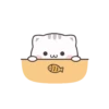 Gatos fofos 9