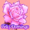 Flores (づ｡◕‿‿◕｡)づ 🌺🌺🌺 12