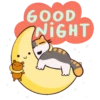 600D NIGHT