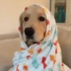 🥶 How cold !!!!🧣❄️ 7