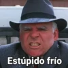 Estúpido frío