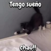 Tengo sueño chau!!