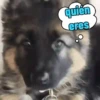 quien eres