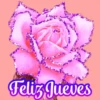 Flores (づ｡◕‿‿◕｡)づ 🌺🌺🌺 13