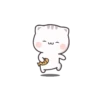 Gatos fofos 12