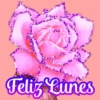 Flores (づ｡◕‿‿◕｡)づ 🌺🌺🌺 14