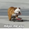 mejor me voy
