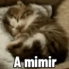 A mimir