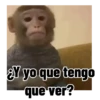 Frases estilo mono 🙈🙉 8