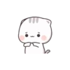 Gatos fofos 13