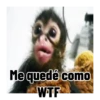 Frases estilo mono 🙈🙉 9